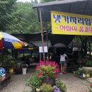 이집이 좋겠네 이미지