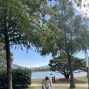 여명식당 이미지