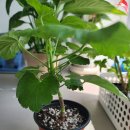 경동미르웰양천향교공인중개사사무소 이미지