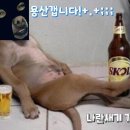 좋은데 이미지