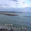 원전사 부울경뉴스
