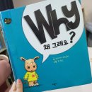 그래요 | 왜그래요? 책 후기｜“왜요?”가 폭발하는 4~5세 아이 마음 읽기