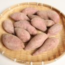 느루농장 이미지