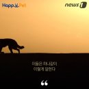 멍멍이집
