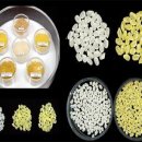 황금개발 이미지