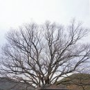 운봉경로당 이미지