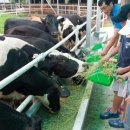 으뜸목장 이미지