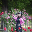 장미공원A 이미지