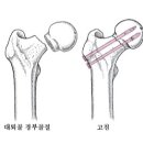 오름메디 이미지