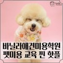 현대미용학원 이미지