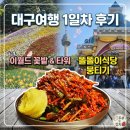 튤립 | 대구여행 봄나들이 1일차 이월드 놀이기구 및 튤립 후기