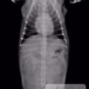 모란동물병원 이미지