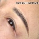 시그노엘 네이버블로그