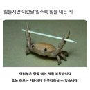 뚝방산꼼장어 | 나의 여름 이야기🩵