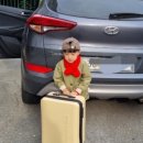 군불로관광농원 이미지