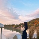 고사리맨션이 이미지