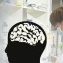 기억저장소 이미지