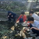 월영농장 이미지