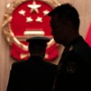 Pet's Station 이미지