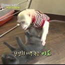 공이농장 이미지