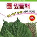 (공동구입) 잎들깨 씨앗 나눔합니다 이미지