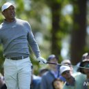 우즈골프연습장 이미지