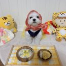 댕고밥상 네이버블로그