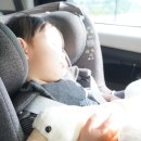 오리사랑 | 육아템 추천! 부드럽고 사랑스러운 블랑가또 오리 애착인형 사용 후기