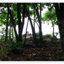 호반 태양광발전소 이미지