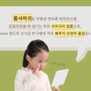 아이누리여수