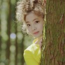 다현헤어 Daum카페