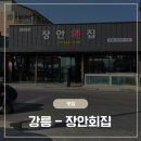 장안4 | [맛집] 강릉 &lt;장안횟집&gt; / 해장도 되면서 물회를 맛있게 먹을 수 있는 곳