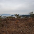 경남고성 삼산면 전원주택 별장지 사진참조 수보.자보지역 320평 / 매매가: 2억5천 이미지