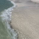 윈당구장 | [여행/나트랑] 아미아나리조트 디럭스트윈룸 가든뷰 후기