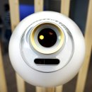 A WORLD TOUR WITH CM 이미지