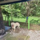 송백가든 이미지