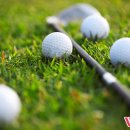 더블유스크린골프 이미지