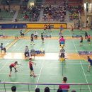 당진종합운동장 당진실내체육관 이미지