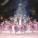 SAC ON SCREEN 발레 호두까기인형 이미지