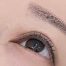 동래교육지원청 | 동래속눈썹학원 20대 초반, 속눈썹펌·연장 창업 준비해본 후기