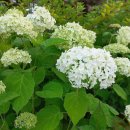 (주)더원메디칼 이미지