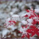 퀸스베이비산후조리원 이미지