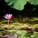 월교농장 이미지