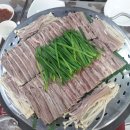 한올채 이미지