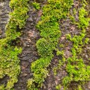 연지 주공아파트 이미지