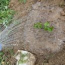 사선대농장 이미지