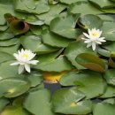 진도역사관 이미지