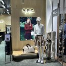 아페쎄골프현대백화점 | 여성 골프웨어 브랜드 A.P.C. GOLF 23SS 골프복 현대백화점 판교점 아페쎄 골프