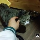 라라호텔 이미지