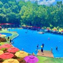 도그베이 이미지